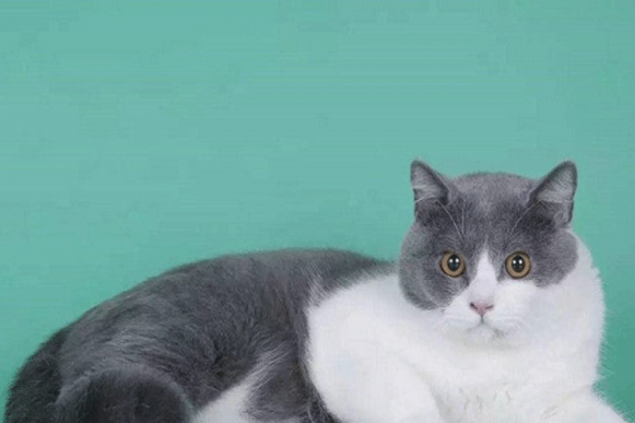 1508297766768669.gif bhjicvgu.gif