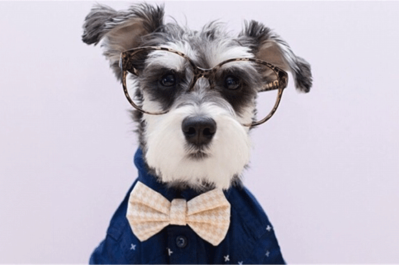 1524040009990113.gif sadeuiop.gif