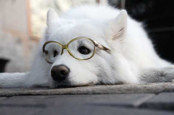 1525339037226707.gif fhjhio51.gif