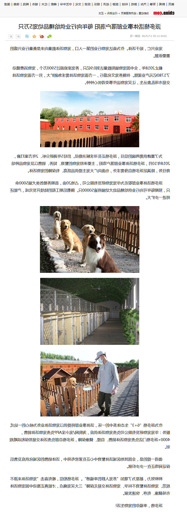 派多格活体事业部落户洛阳 每年向行业供给精品幼宠5万只_经济频道_中华网.png