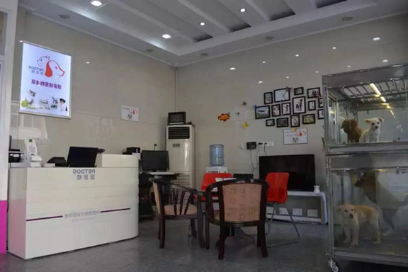 武汉开宠物店加盟投资多少合适? 武汉开宠物店加盟投资多少合适?