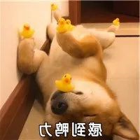 2345_image_file_copy_3.jpg
