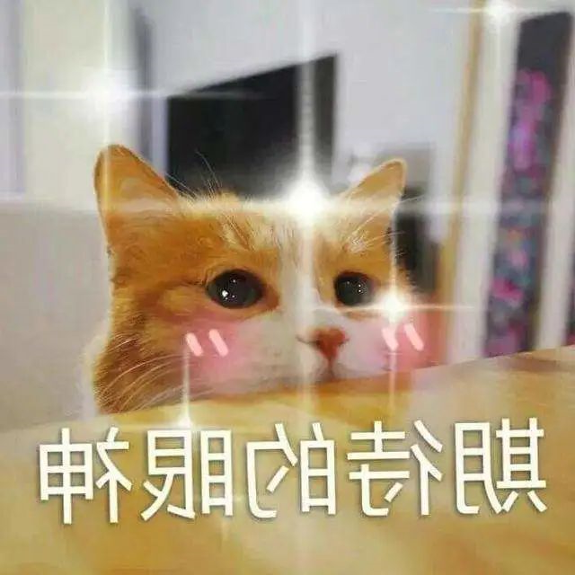 1667639394268761.jpg 2345_image_file_copy_13.jpg