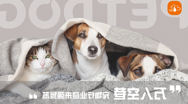 1693217119729920.png 图片1.png