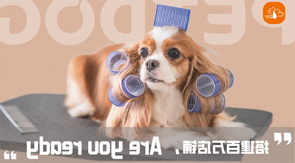 1693217396404468.png 图片1.png